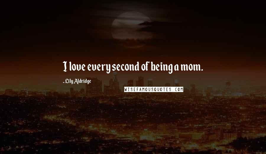 Lily Aldridge Quotes: I love every second of being a mom.