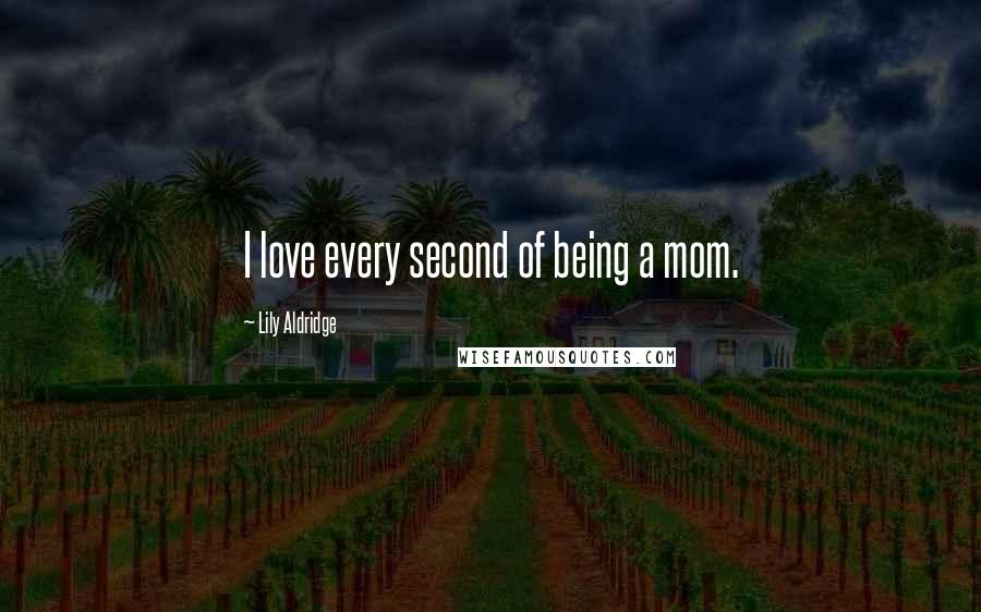 Lily Aldridge Quotes: I love every second of being a mom.