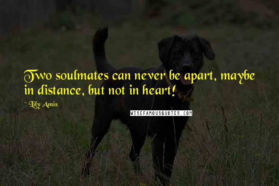 Lily Amis Quotes: Two soulmates can never be apart, maybe in distance, but not in heart!