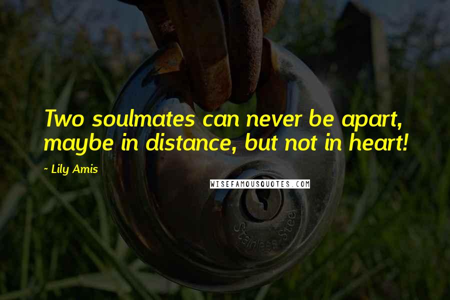 Lily Amis Quotes: Two soulmates can never be apart, maybe in distance, but not in heart!