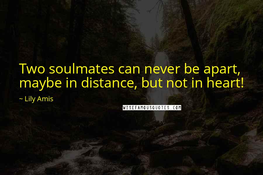 Lily Amis Quotes: Two soulmates can never be apart, maybe in distance, but not in heart!