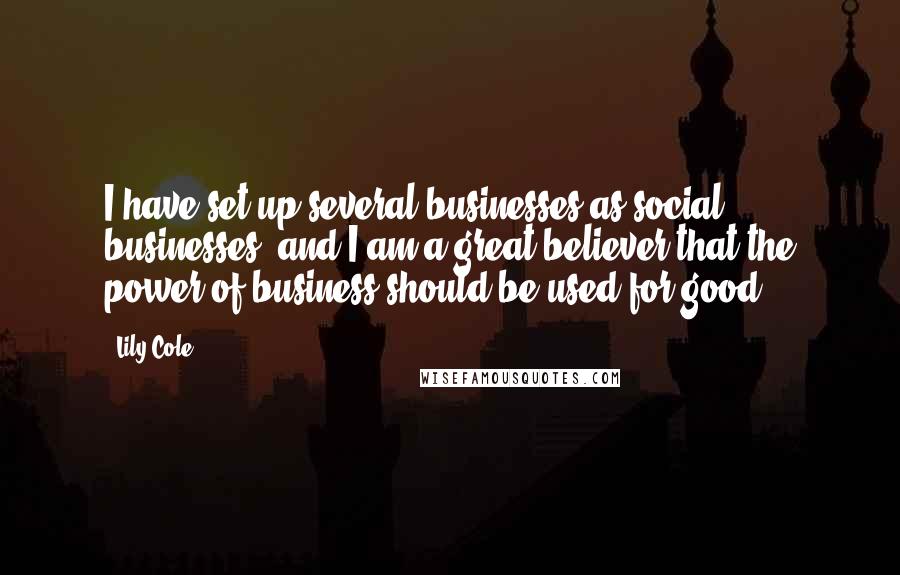Lily Cole Quotes: I have set up several businesses as social businesses, and I am a great believer that the power of business should be used for good.