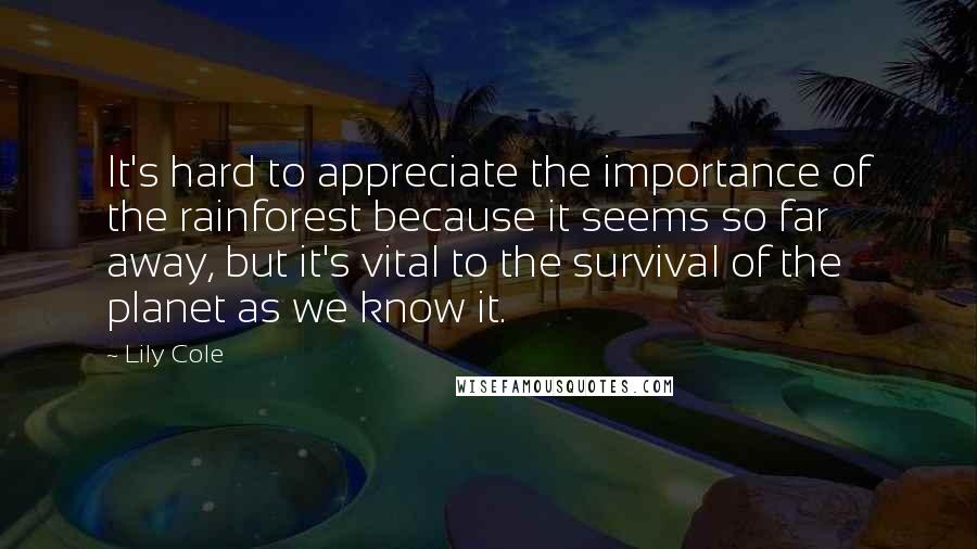 Lily Cole Quotes: It's hard to appreciate the importance of the rainforest because it seems so far away, but it's vital to the survival of the planet as we know it.