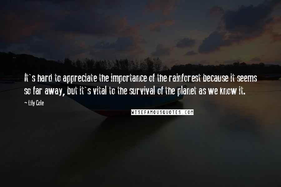 Lily Cole Quotes: It's hard to appreciate the importance of the rainforest because it seems so far away, but it's vital to the survival of the planet as we know it.