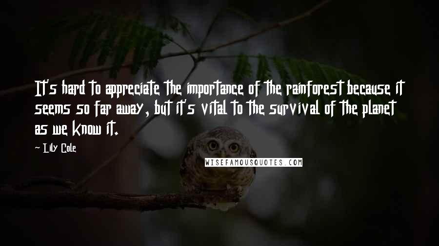 Lily Cole Quotes: It's hard to appreciate the importance of the rainforest because it seems so far away, but it's vital to the survival of the planet as we know it.