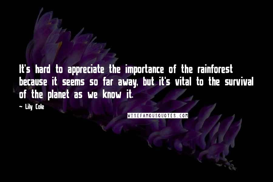Lily Cole Quotes: It's hard to appreciate the importance of the rainforest because it seems so far away, but it's vital to the survival of the planet as we know it.