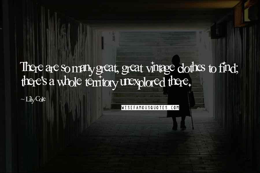 Lily Cole Quotes: There are so many great, great vintage clothes to find; there's a whole territory unexplored there.