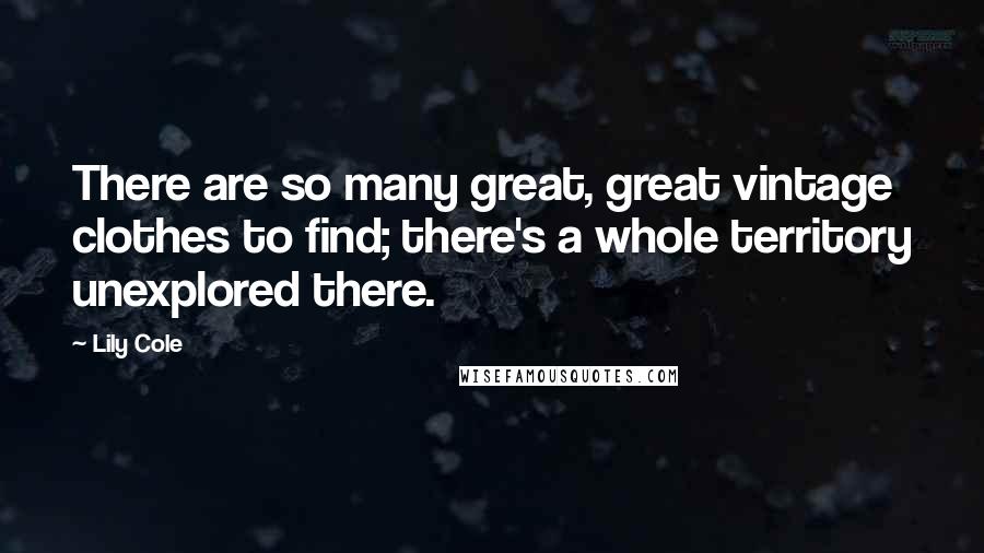 Lily Cole Quotes: There are so many great, great vintage clothes to find; there's a whole territory unexplored there.