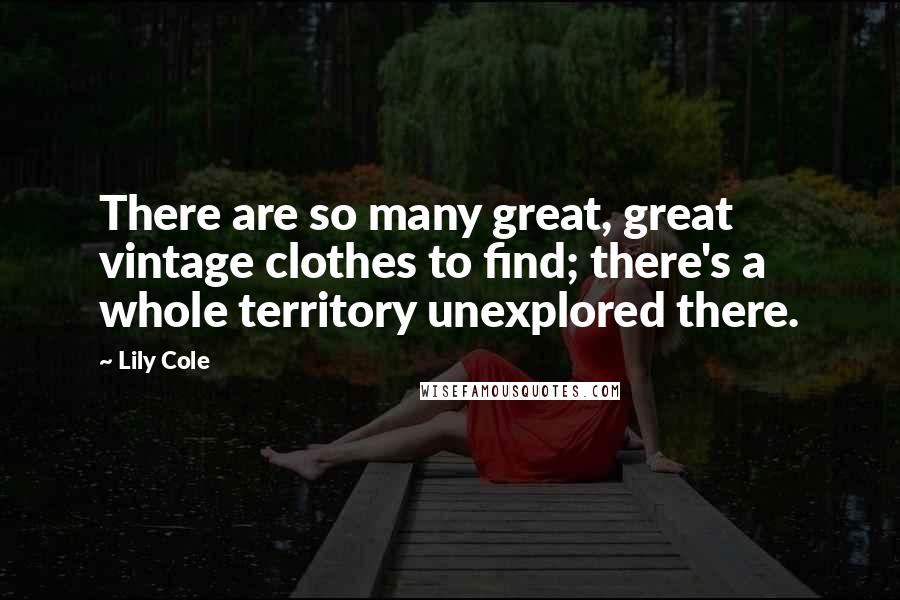 Lily Cole Quotes: There are so many great, great vintage clothes to find; there's a whole territory unexplored there.