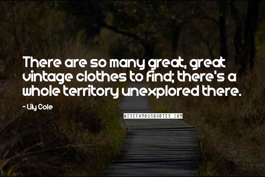 Lily Cole Quotes: There are so many great, great vintage clothes to find; there's a whole territory unexplored there.
