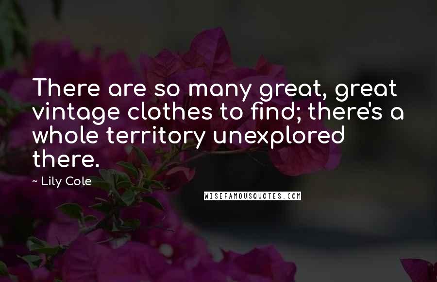 Lily Cole Quotes: There are so many great, great vintage clothes to find; there's a whole territory unexplored there.