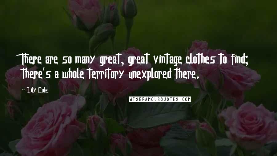 Lily Cole Quotes: There are so many great, great vintage clothes to find; there's a whole territory unexplored there.