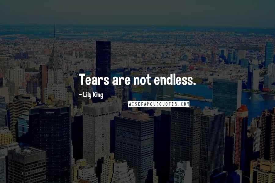 Lily King Quotes: Tears are not endless.