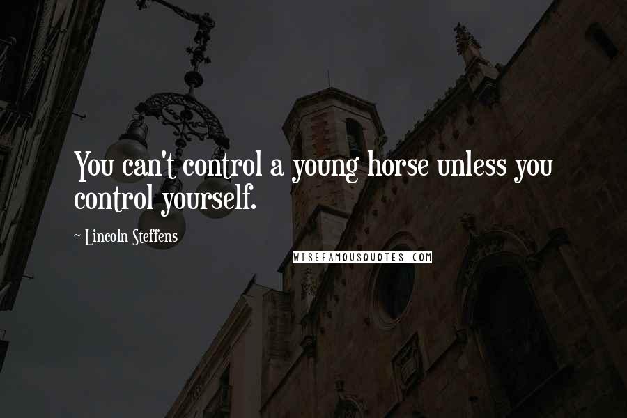 Lincoln Steffens Quotes: You can't control a young horse unless you control yourself.
