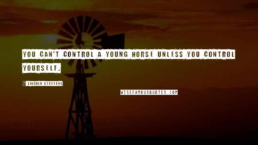 Lincoln Steffens Quotes: You can't control a young horse unless you control yourself.