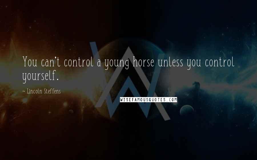 Lincoln Steffens Quotes: You can't control a young horse unless you control yourself.