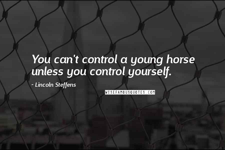 Lincoln Steffens Quotes: You can't control a young horse unless you control yourself.