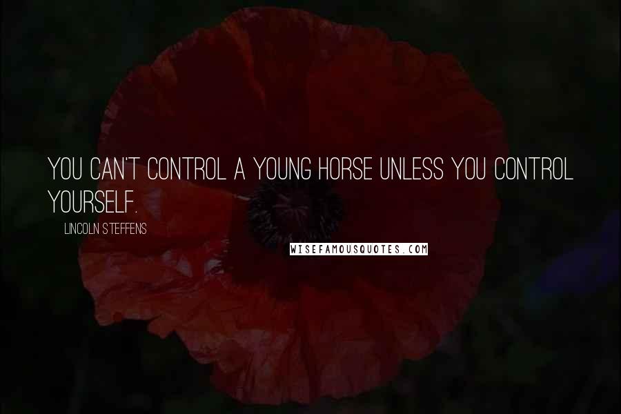 Lincoln Steffens Quotes: You can't control a young horse unless you control yourself.