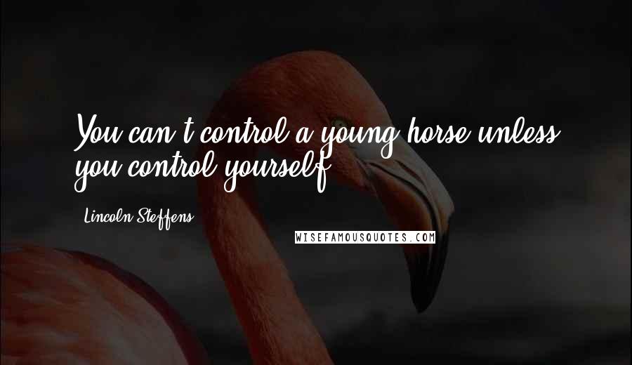 Lincoln Steffens Quotes: You can't control a young horse unless you control yourself.