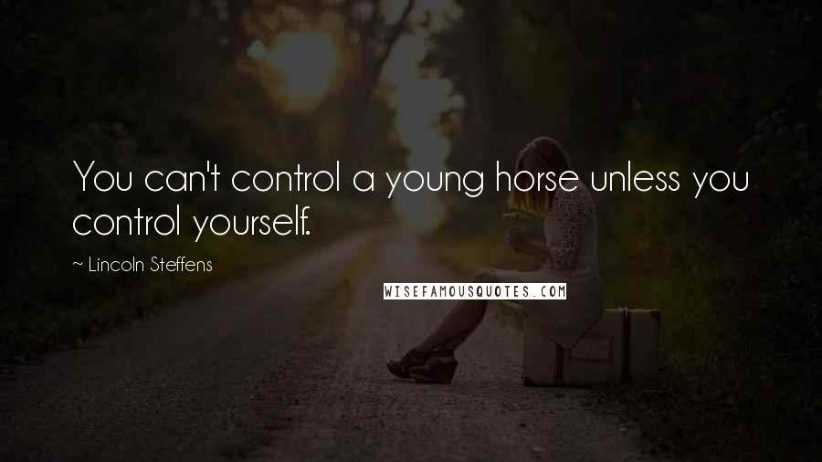 Lincoln Steffens Quotes: You can't control a young horse unless you control yourself.