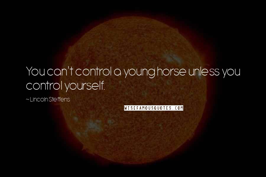 Lincoln Steffens Quotes: You can't control a young horse unless you control yourself.