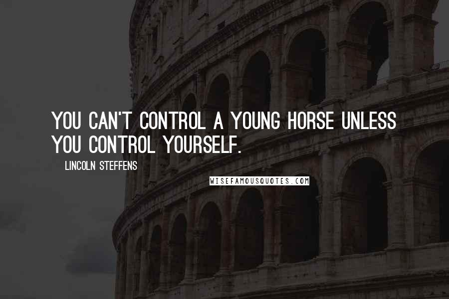 Lincoln Steffens Quotes: You can't control a young horse unless you control yourself.