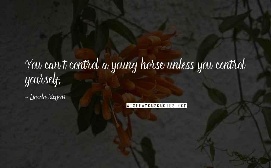 Lincoln Steffens Quotes: You can't control a young horse unless you control yourself.