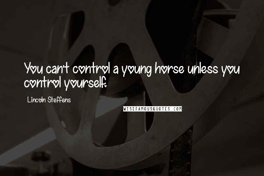 Lincoln Steffens Quotes: You can't control a young horse unless you control yourself.