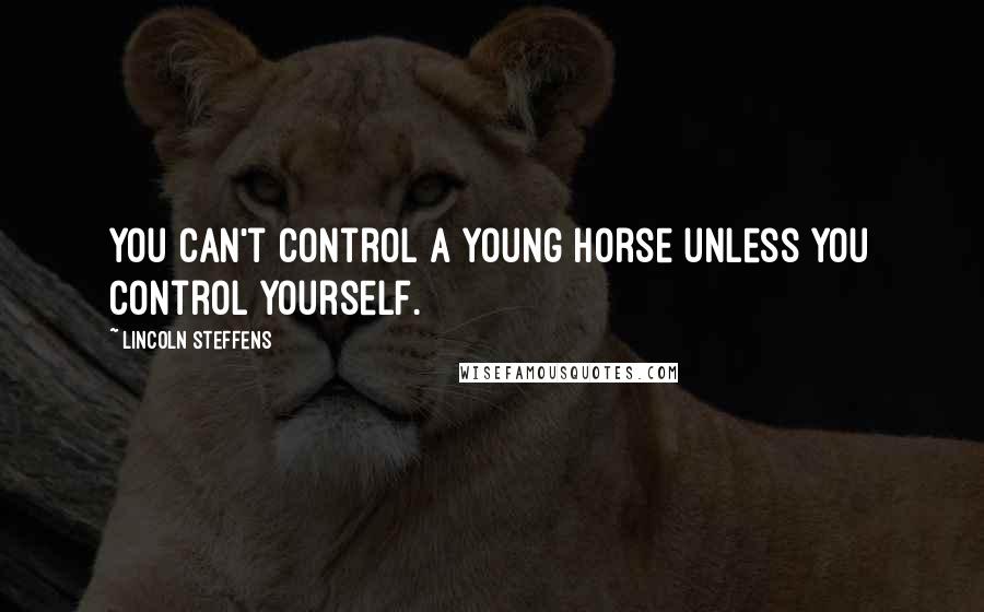 Lincoln Steffens Quotes: You can't control a young horse unless you control yourself.