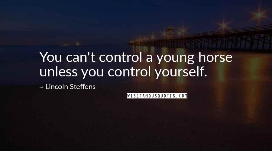 Lincoln Steffens Quotes: You can't control a young horse unless you control yourself.