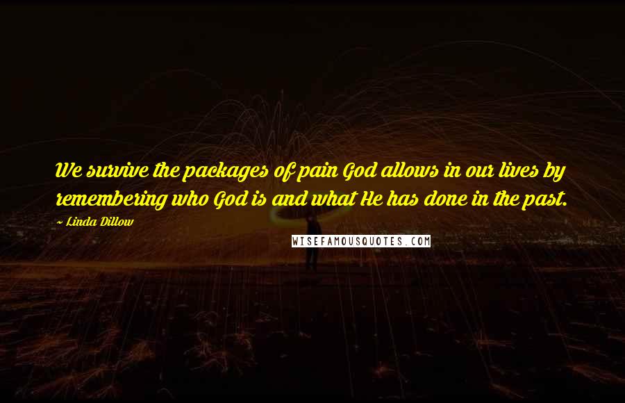 Linda Dillow Quotes: We survive the packages of pain God allows in our lives by remembering who God is and what He has done in the past.