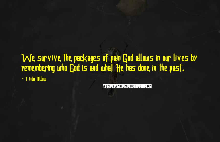 Linda Dillow Quotes: We survive the packages of pain God allows in our lives by remembering who God is and what He has done in the past.