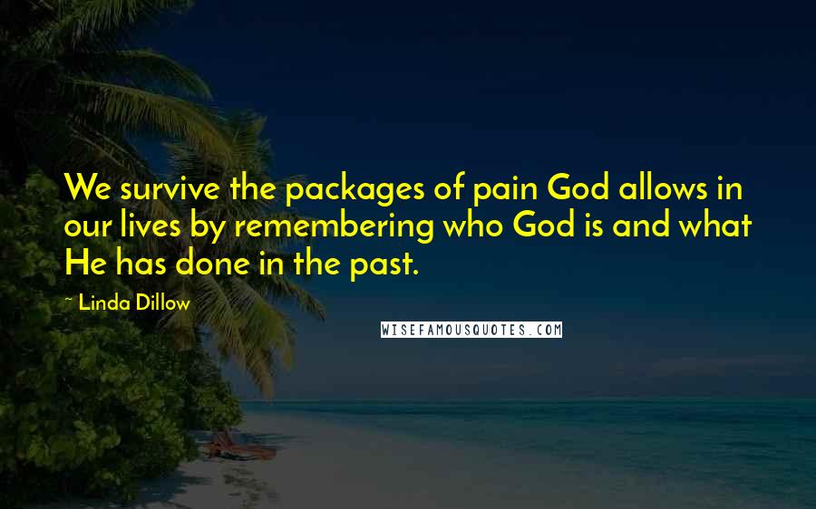 Linda Dillow Quotes: We survive the packages of pain God allows in our lives by remembering who God is and what He has done in the past.