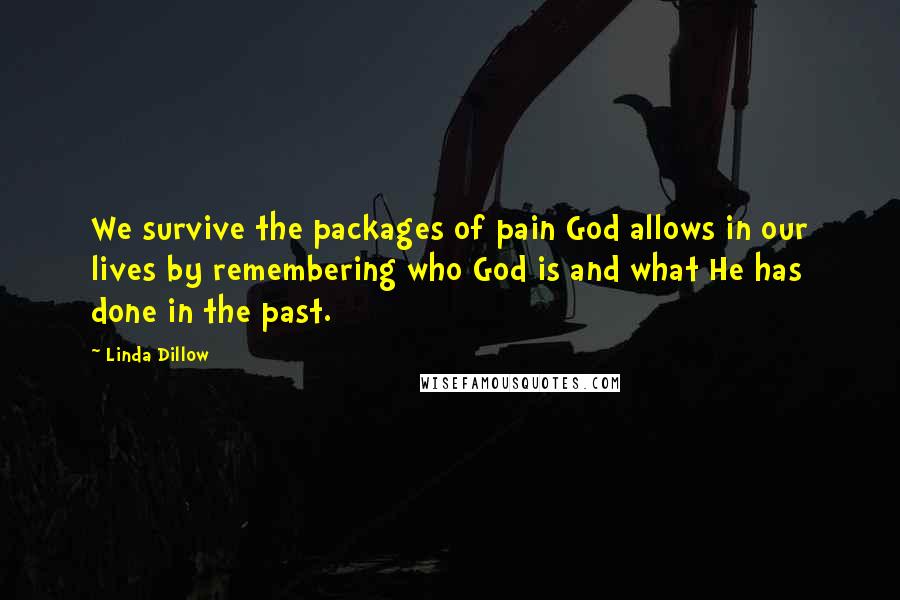 Linda Dillow Quotes: We survive the packages of pain God allows in our lives by remembering who God is and what He has done in the past.