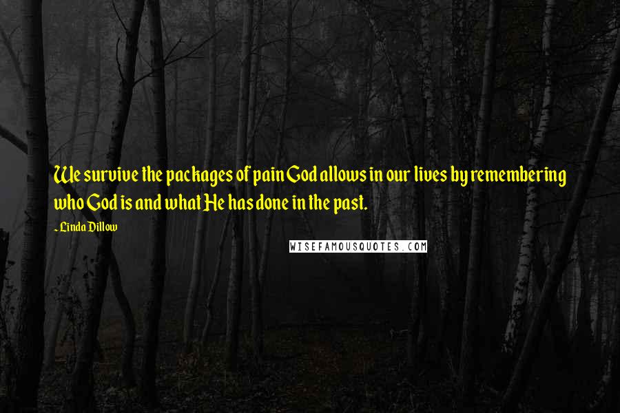 Linda Dillow Quotes: We survive the packages of pain God allows in our lives by remembering who God is and what He has done in the past.