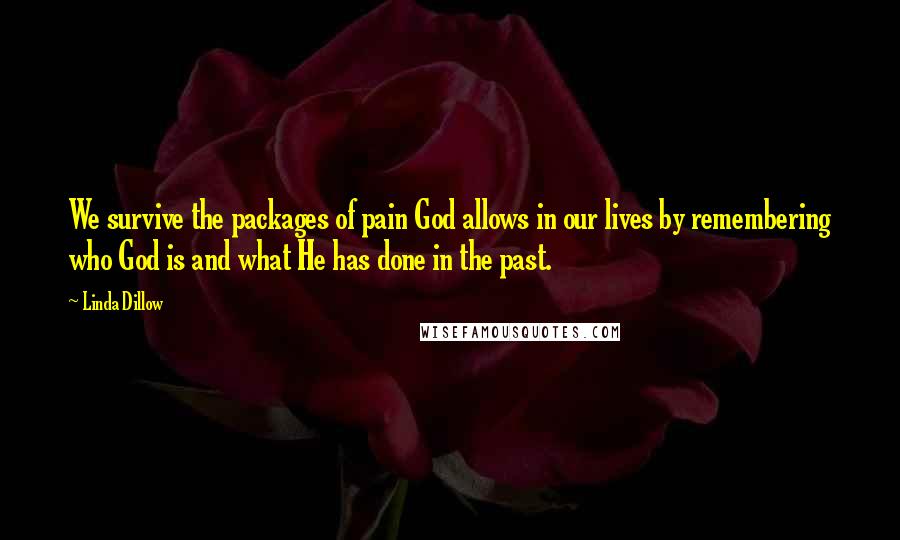 Linda Dillow Quotes: We survive the packages of pain God allows in our lives by remembering who God is and what He has done in the past.