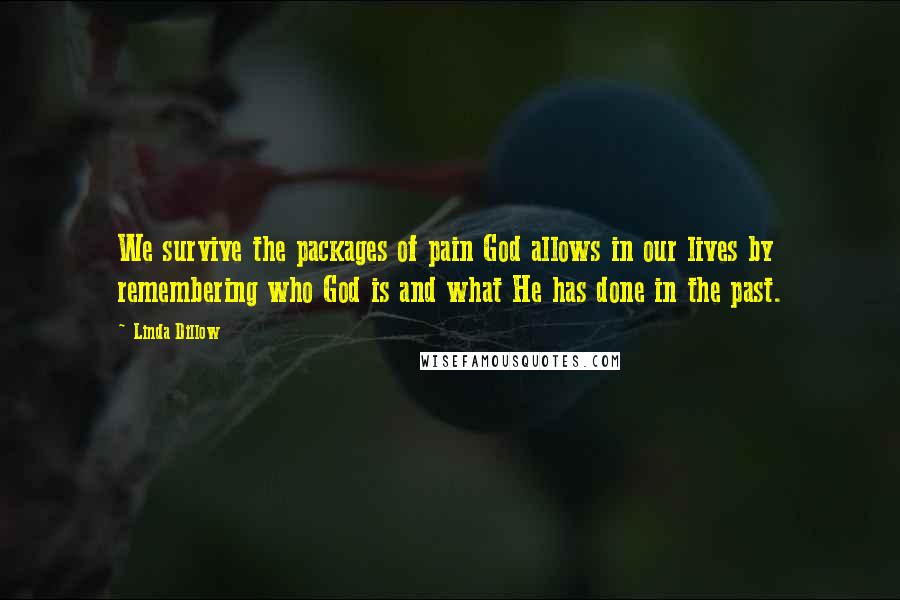 Linda Dillow Quotes: We survive the packages of pain God allows in our lives by remembering who God is and what He has done in the past.