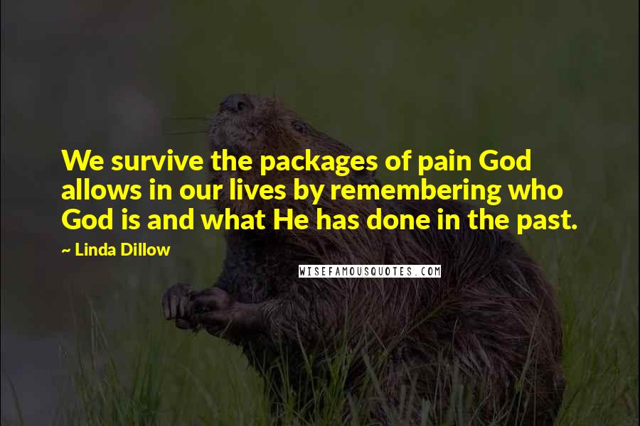 Linda Dillow Quotes: We survive the packages of pain God allows in our lives by remembering who God is and what He has done in the past.