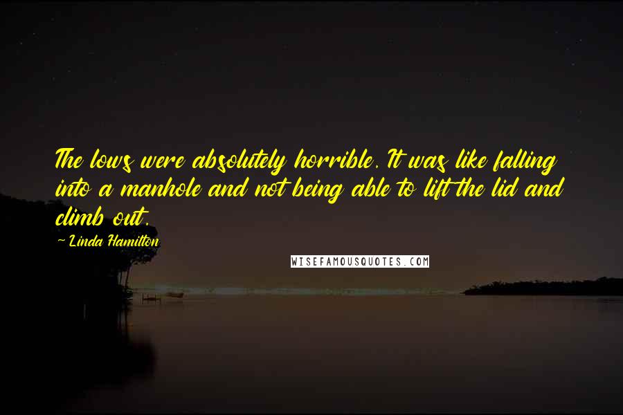 Linda Hamilton Quotes: The lows were absolutely horrible. It was like falling into a manhole and not being able to lift the lid and climb out.