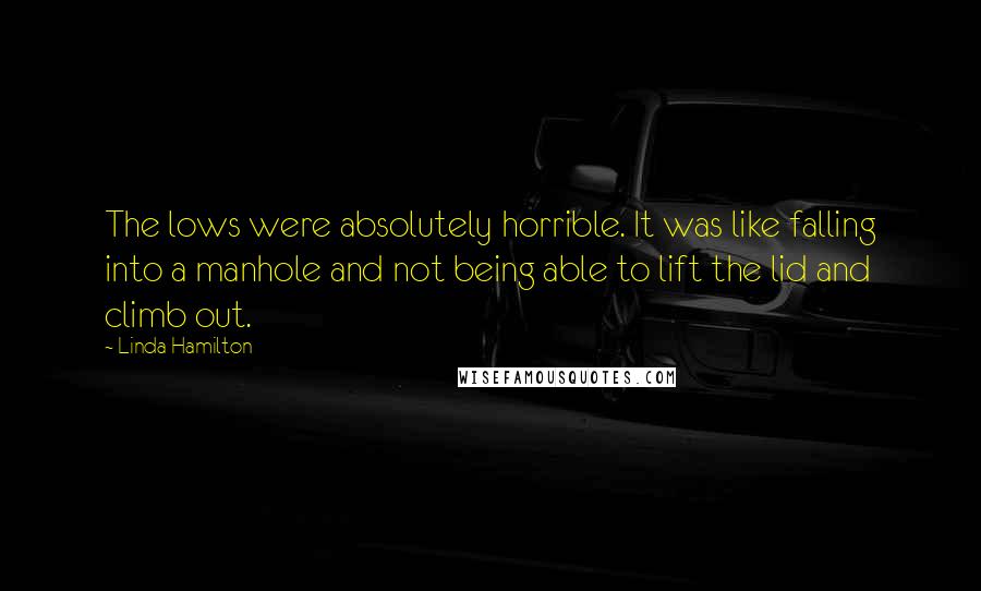 Linda Hamilton Quotes: The lows were absolutely horrible. It was like falling into a manhole and not being able to lift the lid and climb out.