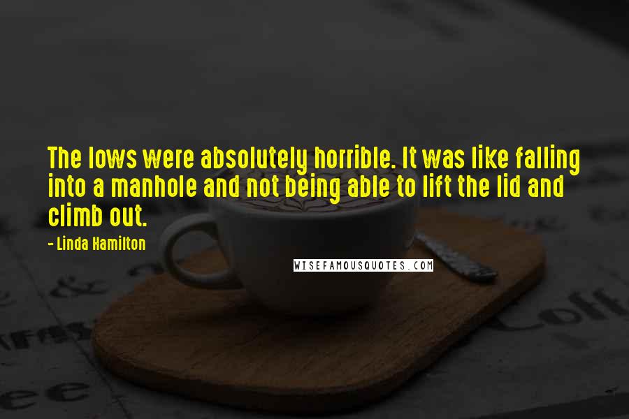 Linda Hamilton Quotes: The lows were absolutely horrible. It was like falling into a manhole and not being able to lift the lid and climb out.