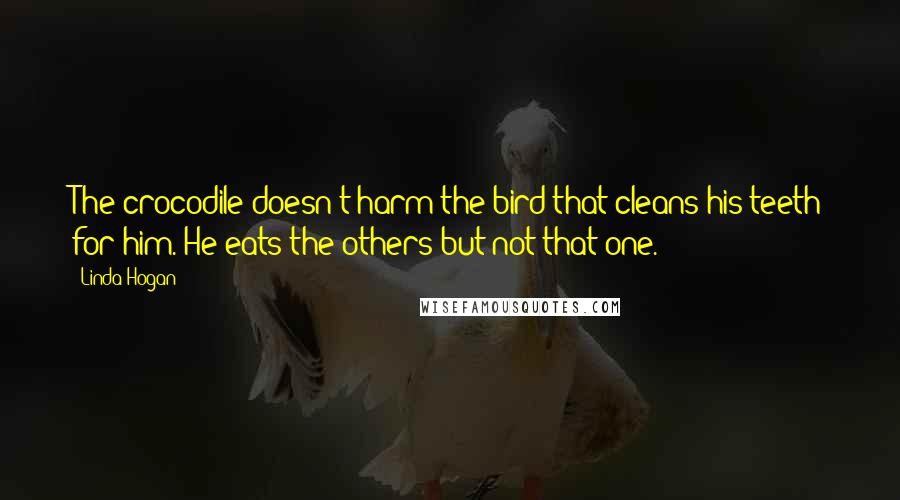 Linda Hogan Quotes: The crocodile doesn't harm the bird that cleans his teeth for him. He eats the others but not that one.