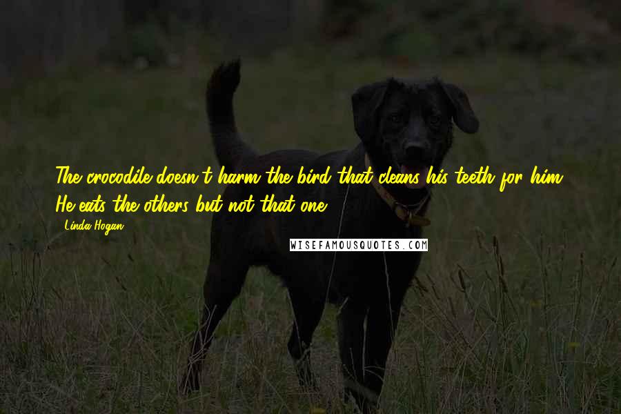 Linda Hogan Quotes: The crocodile doesn't harm the bird that cleans his teeth for him. He eats the others but not that one.