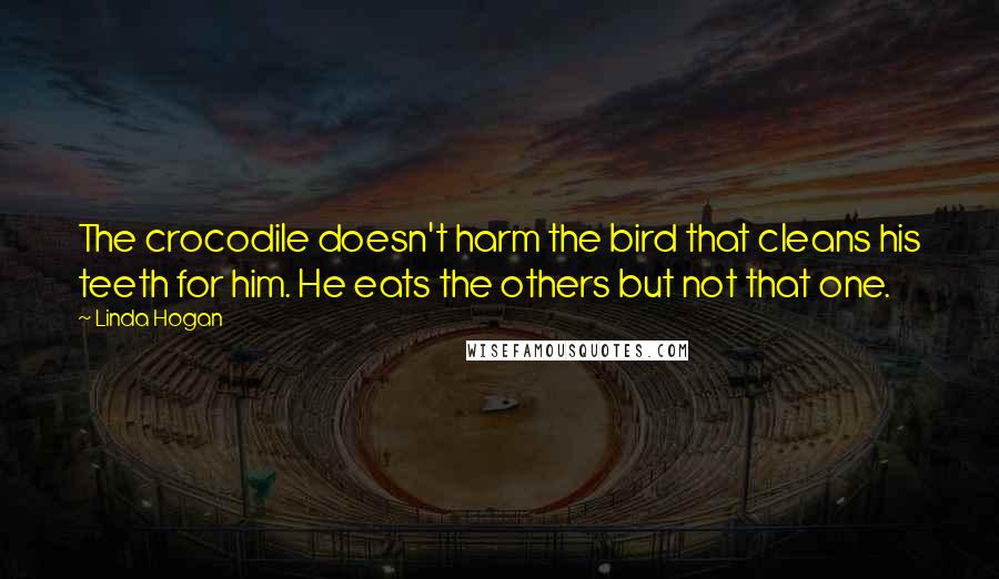 Linda Hogan Quotes: The crocodile doesn't harm the bird that cleans his teeth for him. He eats the others but not that one.