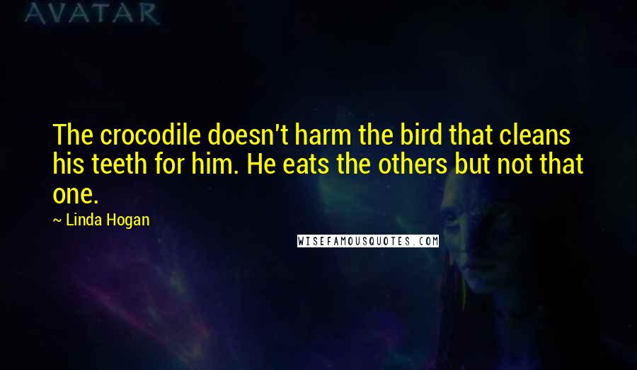 Linda Hogan Quotes: The crocodile doesn't harm the bird that cleans his teeth for him. He eats the others but not that one.