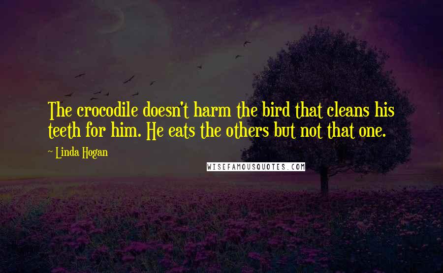 Linda Hogan Quotes: The crocodile doesn't harm the bird that cleans his teeth for him. He eats the others but not that one.