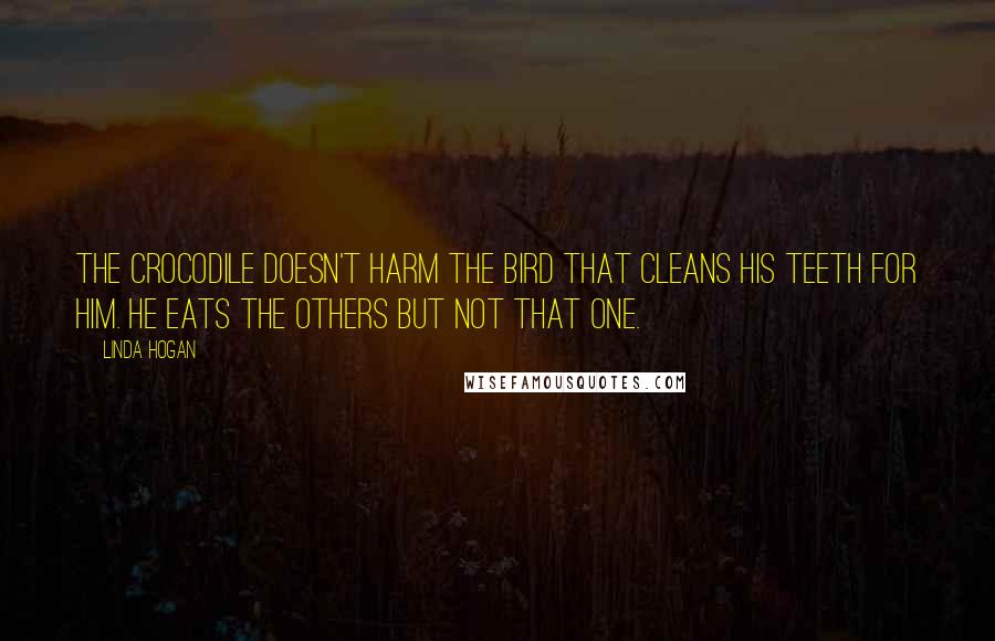 Linda Hogan Quotes: The crocodile doesn't harm the bird that cleans his teeth for him. He eats the others but not that one.