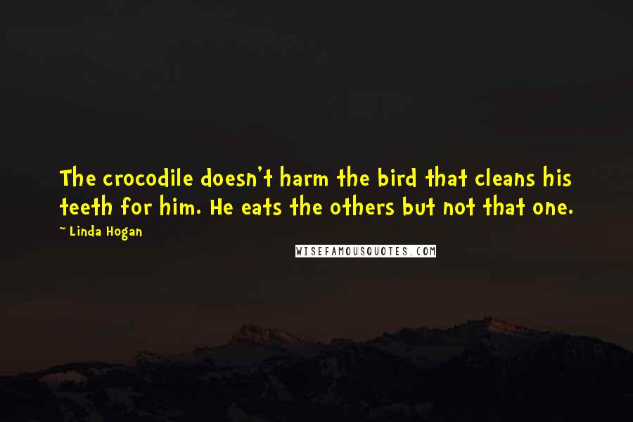 Linda Hogan Quotes: The crocodile doesn't harm the bird that cleans his teeth for him. He eats the others but not that one.