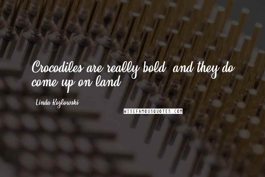 Linda Kozlowski Quotes: Crocodiles are really bold, and they do come up on land.