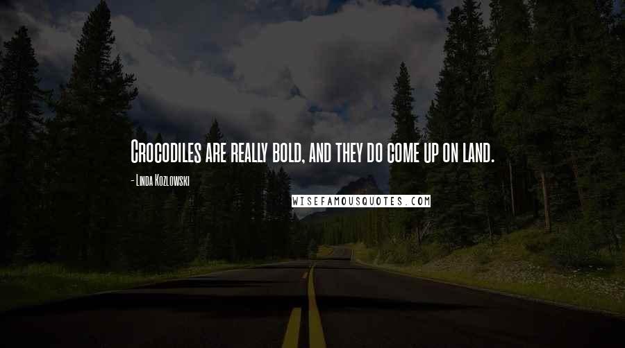 Linda Kozlowski Quotes: Crocodiles are really bold, and they do come up on land.